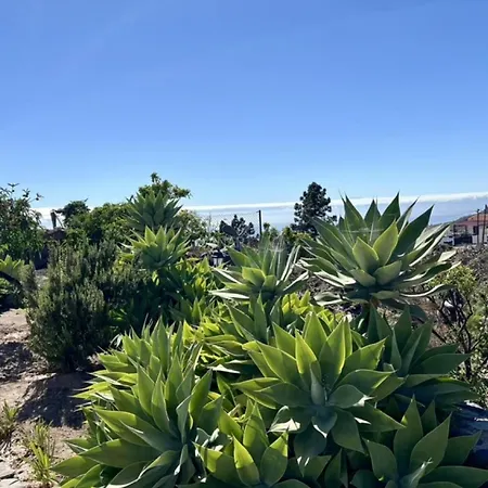 Σπίτι διακοπών El Estanco Viejo Casa Poleo Costa Adeje (Tenerife)